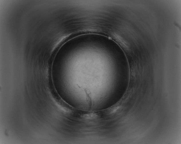 X0000095670112200801221212