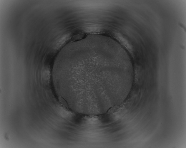 X0000095670113200801221212