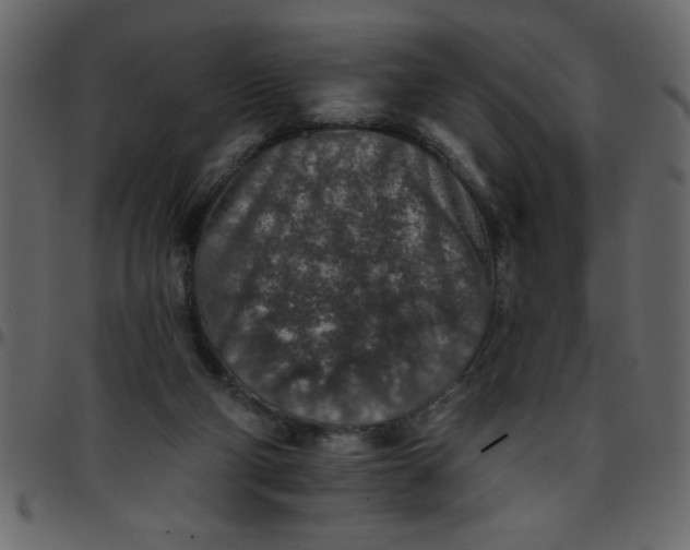 X0000095670114200801221212