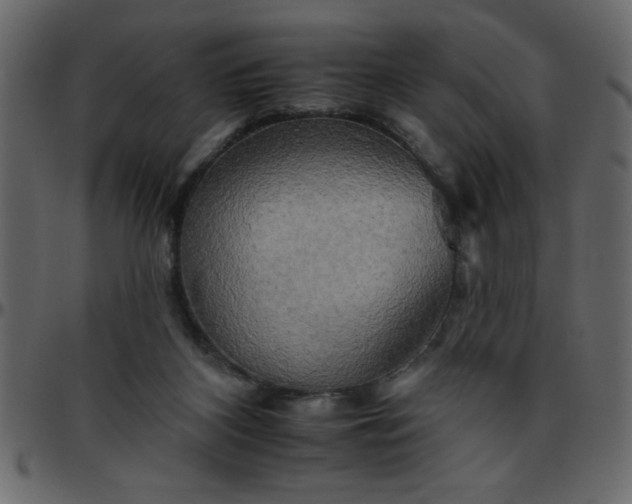 X0000095670116200801221212