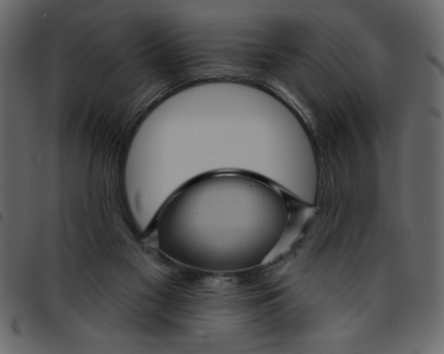 X0000095670117200801221212