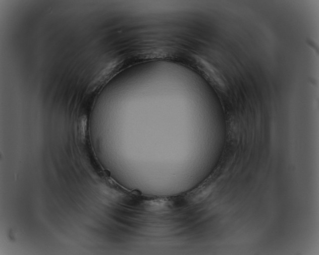 X0000095670118200801221212