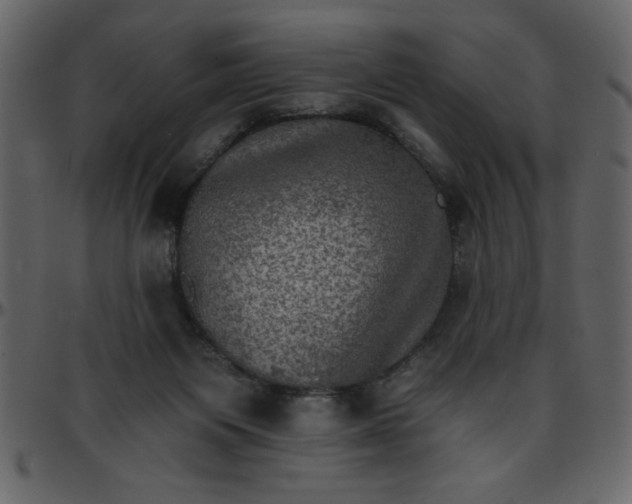 X0000095670119200801221212