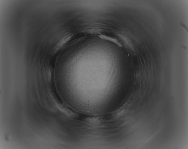 X0000095670120200801221212