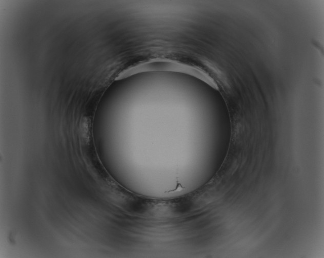 X0000095670121200801221212