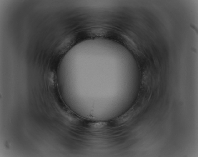 X0000095670122200801221212