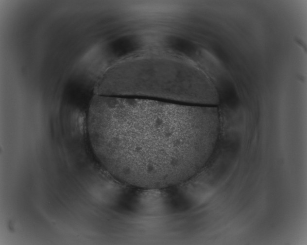 X0000095670123200801221212