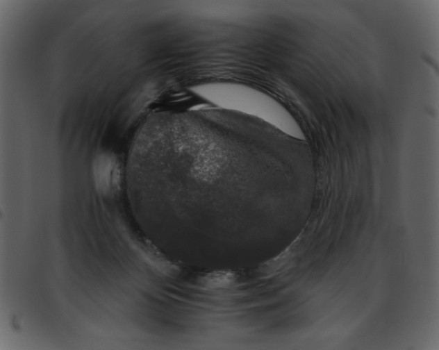 X0000095670124200801221212