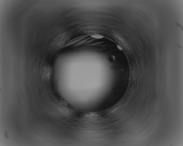 X0000095670125200801221212