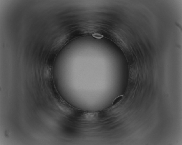 X0000095670126200801221212