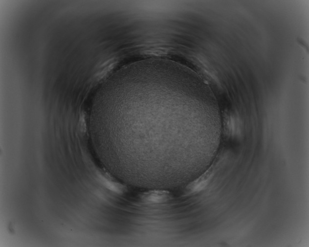 X0000095670128200801221212