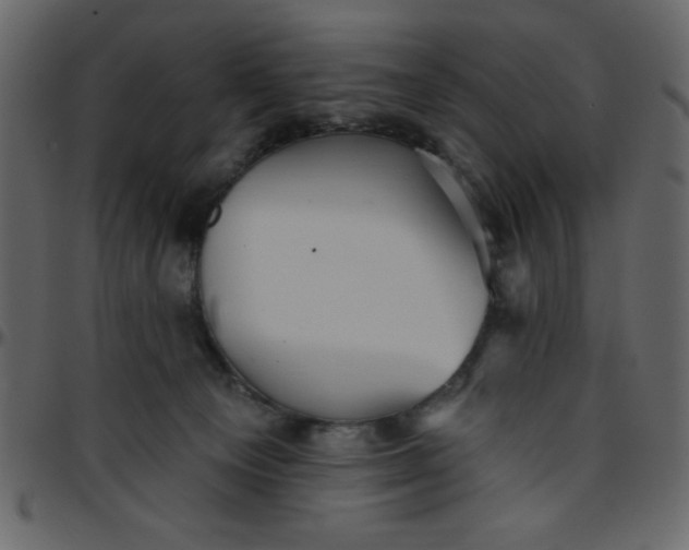 X0000095670129200801221212