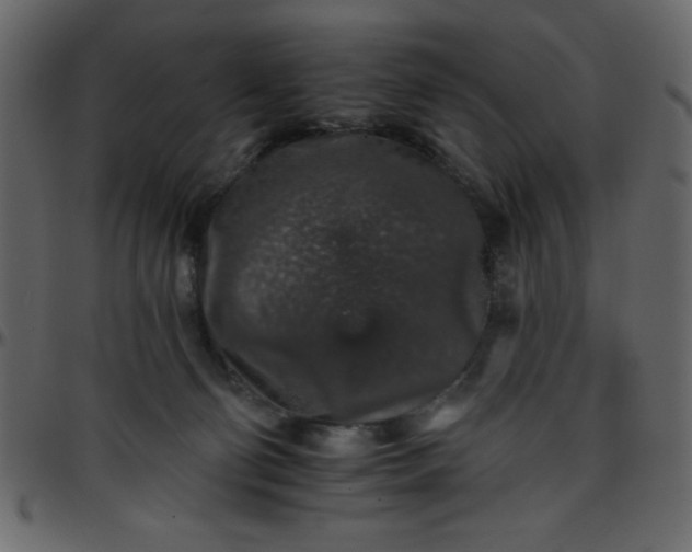 X0000095670130200801221212