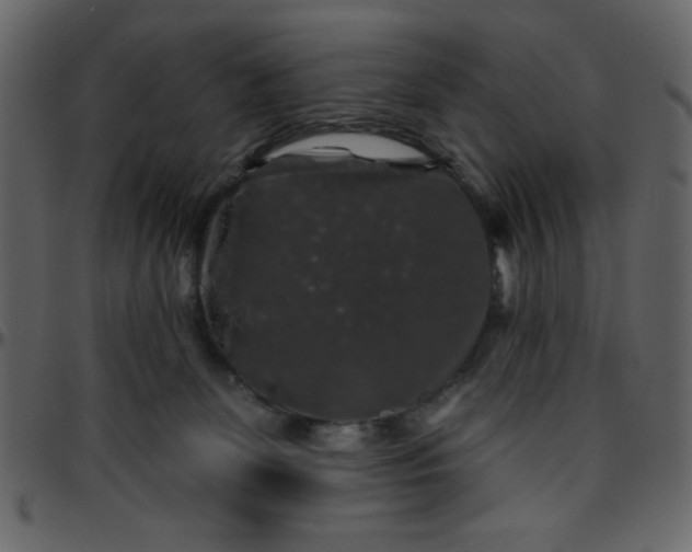 X0000095670131200801221212