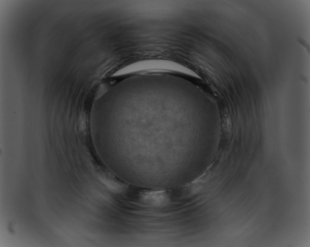 X0000095670132200801221212