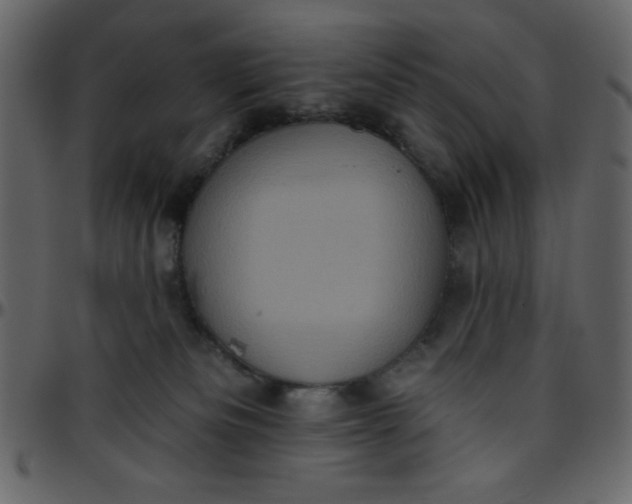 X0000095670133200801221212