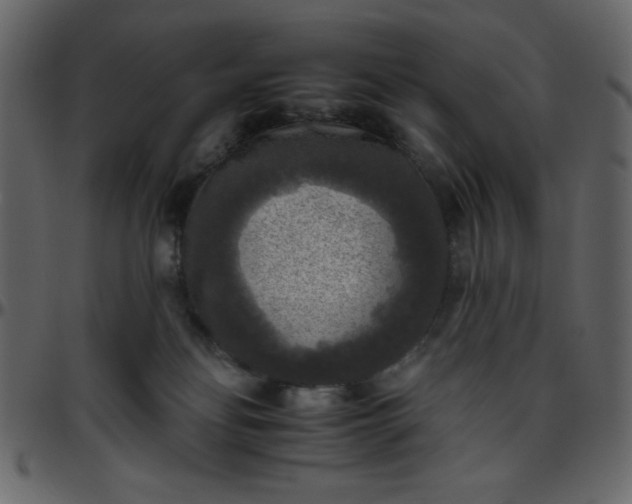 X0000095670134200801221212