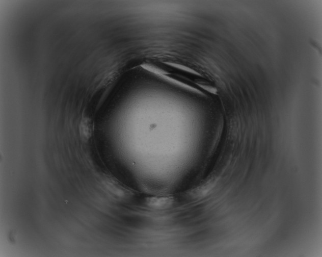 X0000095670135200801221212