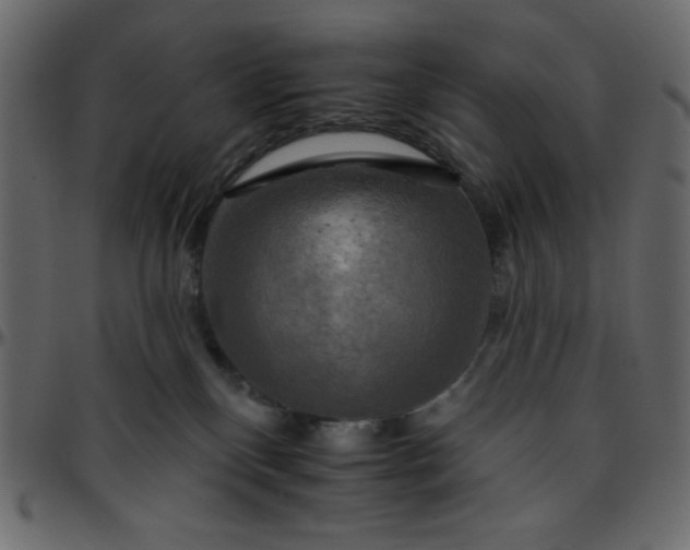 X0000095670136200801221212