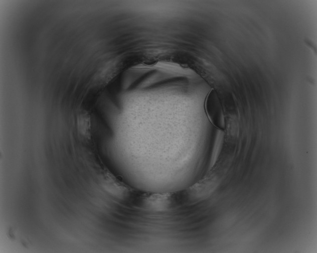 X0000095670138200801221212