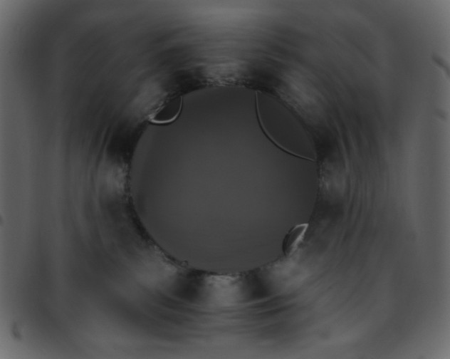 X0000095670139200801221212