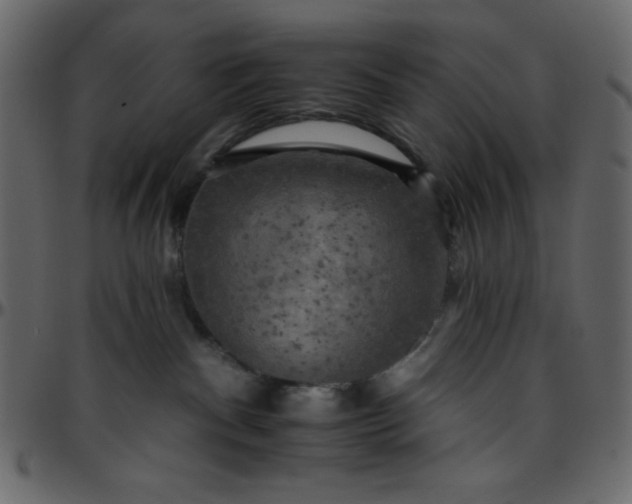 X0000095670140200801221212