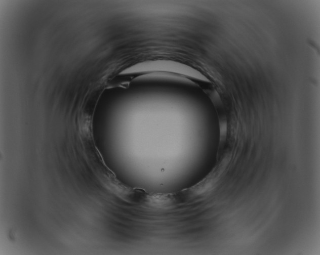 X0000095670141200801221212