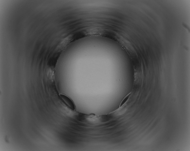 X0000095670142200801221212