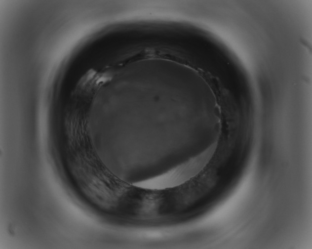 X0000095670143200801221212