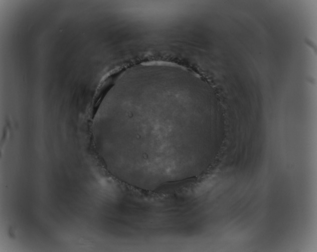 X0000095670144200801221212