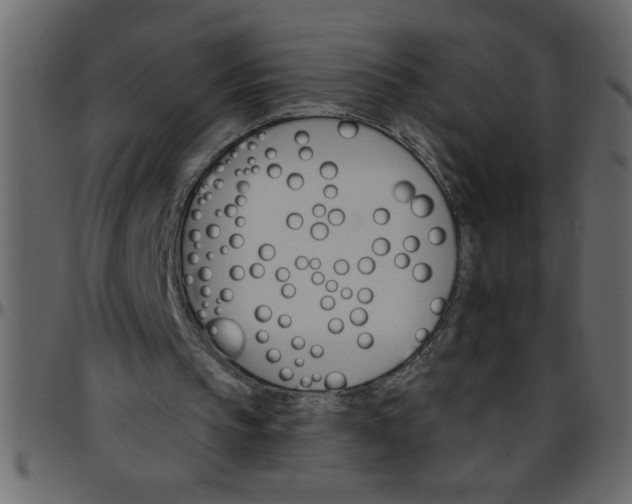 X0000095670145200801221211