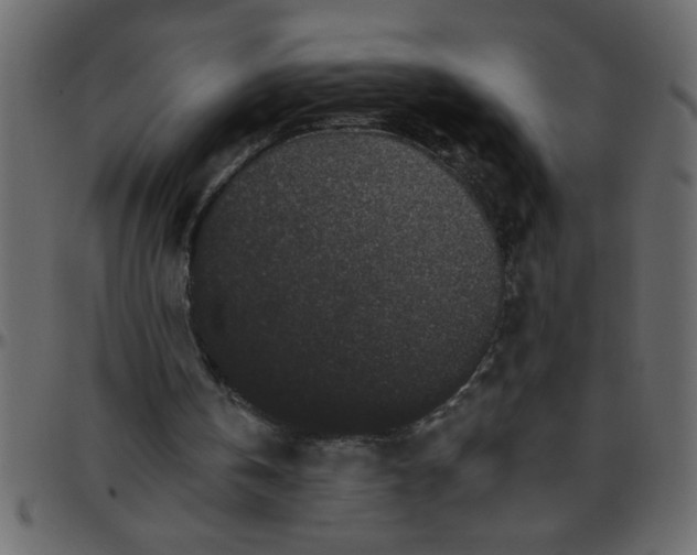 X0000095670146200801221211