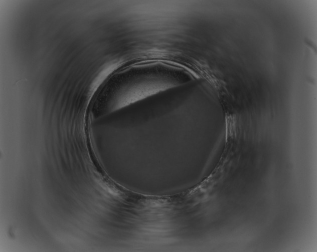 X0000095670147200801221211