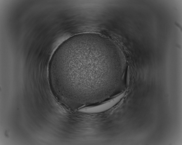 X0000095670148200801221211