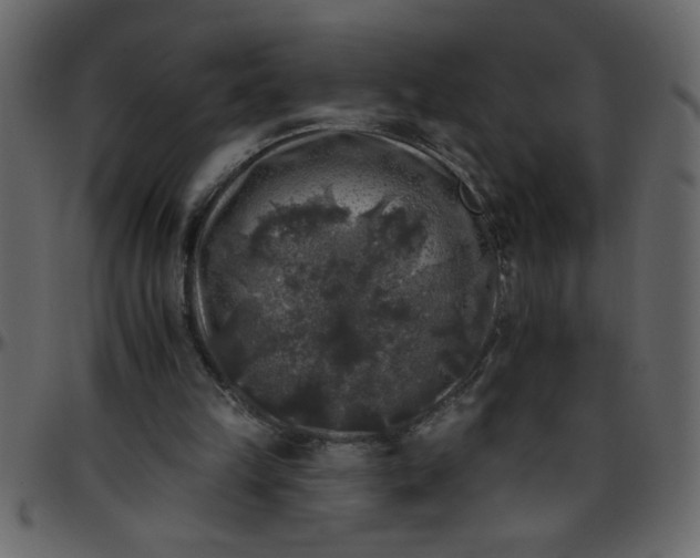 X0000095670149200801221211