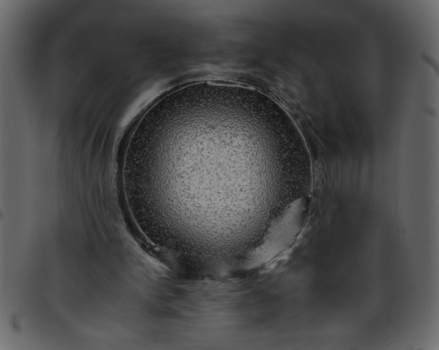 X0000095670150200801221211