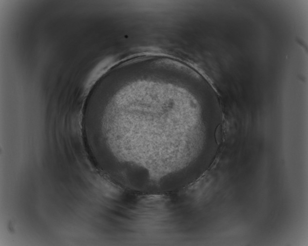 X0000095670151200801221211