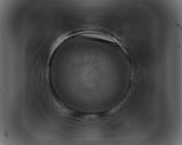 X0000095670152200801221211