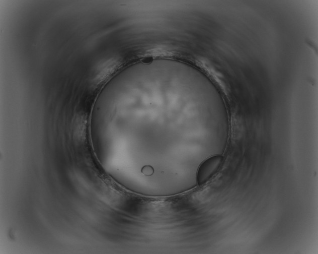 X0000095670153200801221211