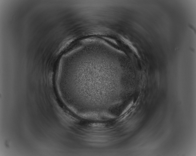 X0000095670154200801221211