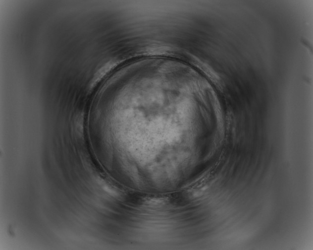 X0000095670155200801221211