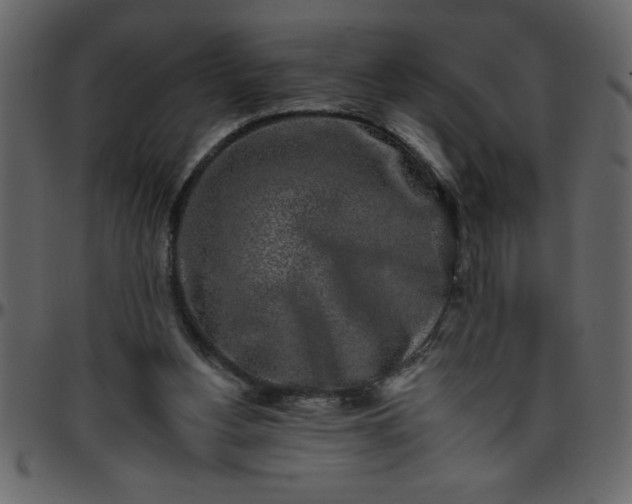 X0000095670156200801221211