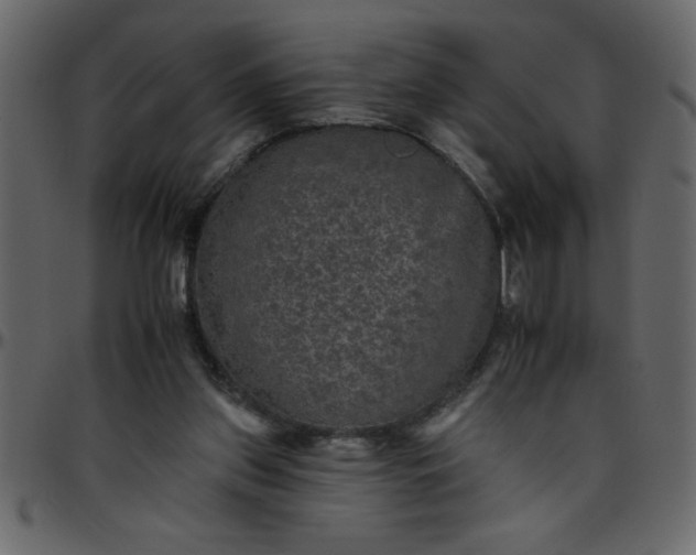 X0000095670157200801221211