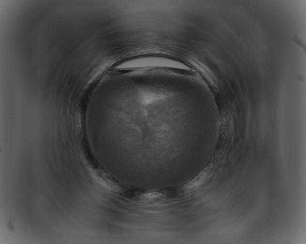 X0000095670158200801221211