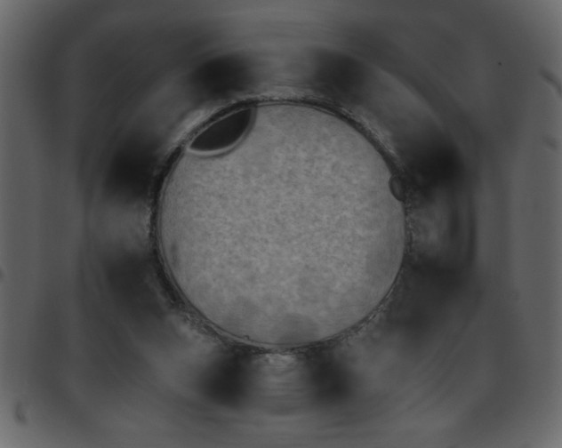 X0000095670159200801221211