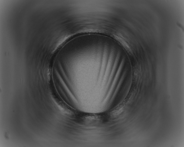 X0000095670160200801221211