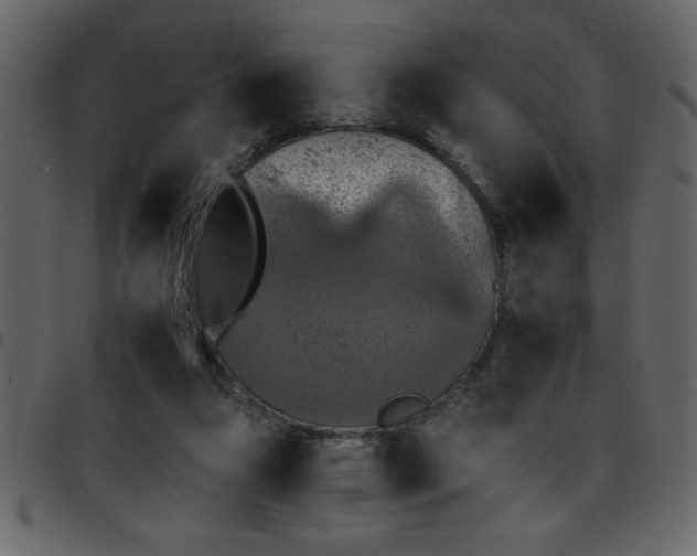 X0000095670161200801221211