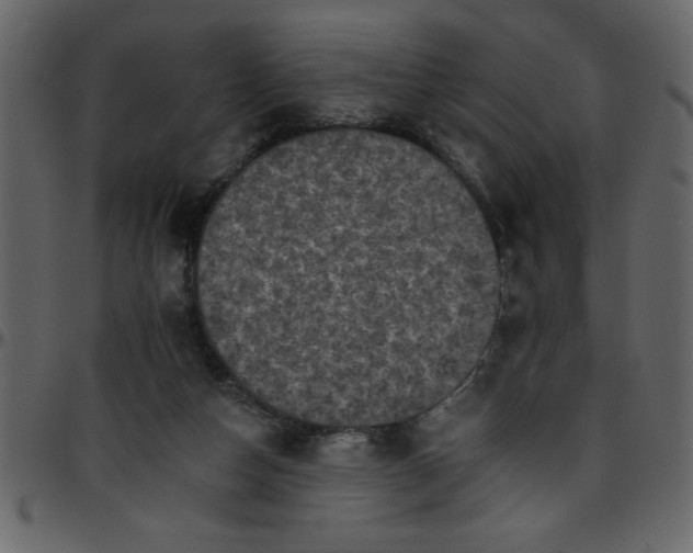 X0000095670162200801221211