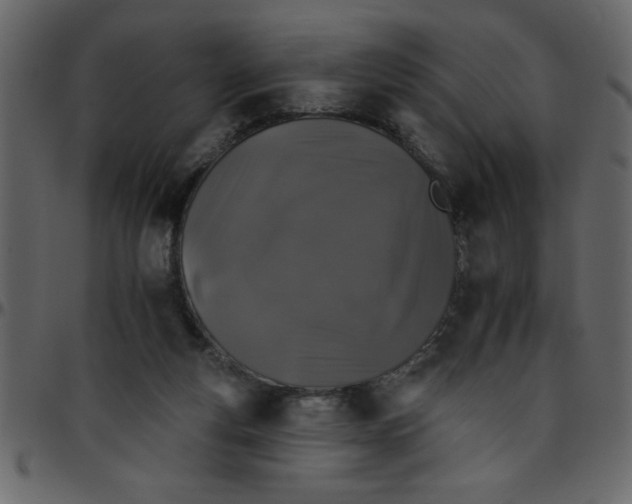 X0000095670163200801221211