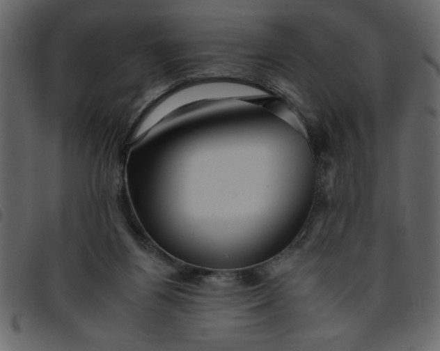 X0000095670164200801221211